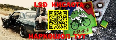 прущие крисы Новозыбков