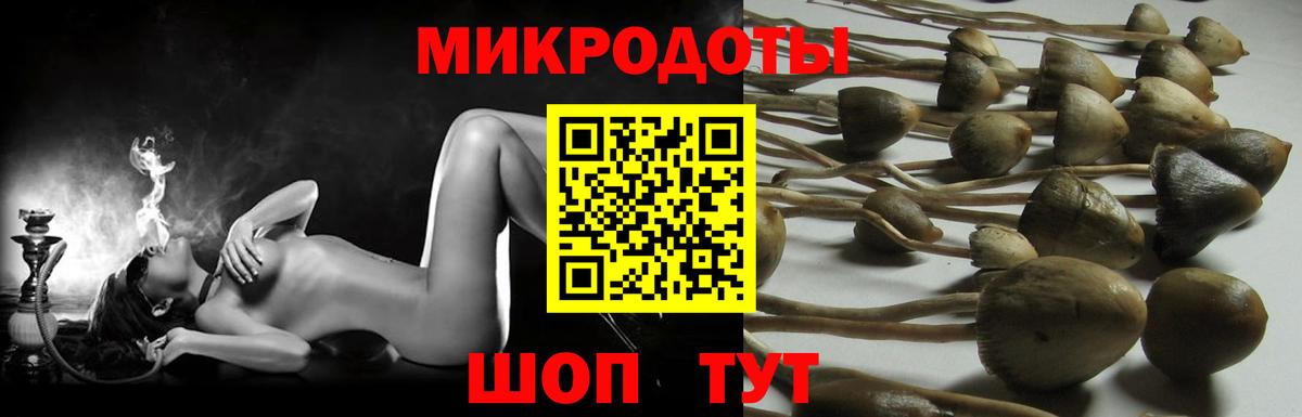 Псилоцибиновые грибы MAGIC MUSHROOMS  Галлюциногенные грибы GOLDEN TEACHER  Реж  купить наркотики цена  Вход с VPN 